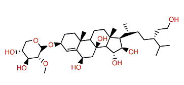 Echinasteroside B desulfated